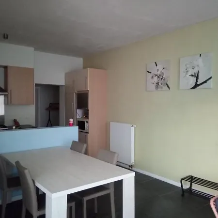 Apartment Appartement Op 7 Min Wandelen Van Het Strand, 3Personen Maximum Ostend